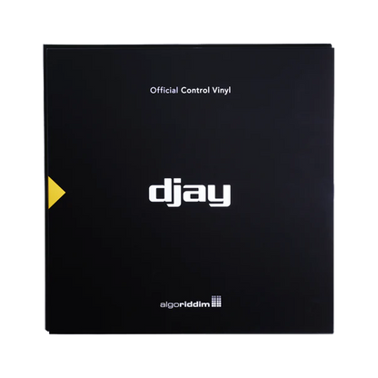 DJAY PRO AI CONTROL | 12" VINYL BLACK SINGLE