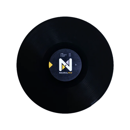 DJAY PRO AI CONTROL | 12" VINYL BLACK SINGLE