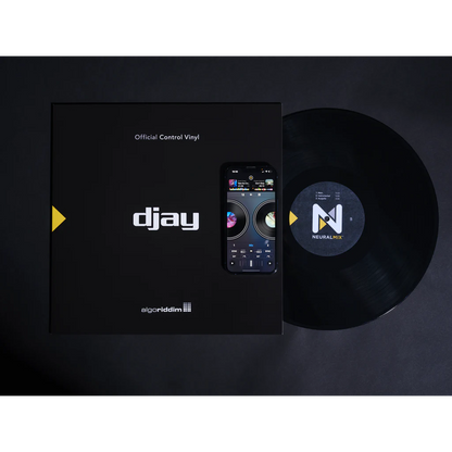 DJAY PRO AI CONTROL | 12" VINYL BLACK SINGLE