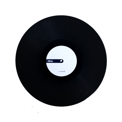 DJAY PRO AI CONTROL | 12" VINYL BLACK SINGLE